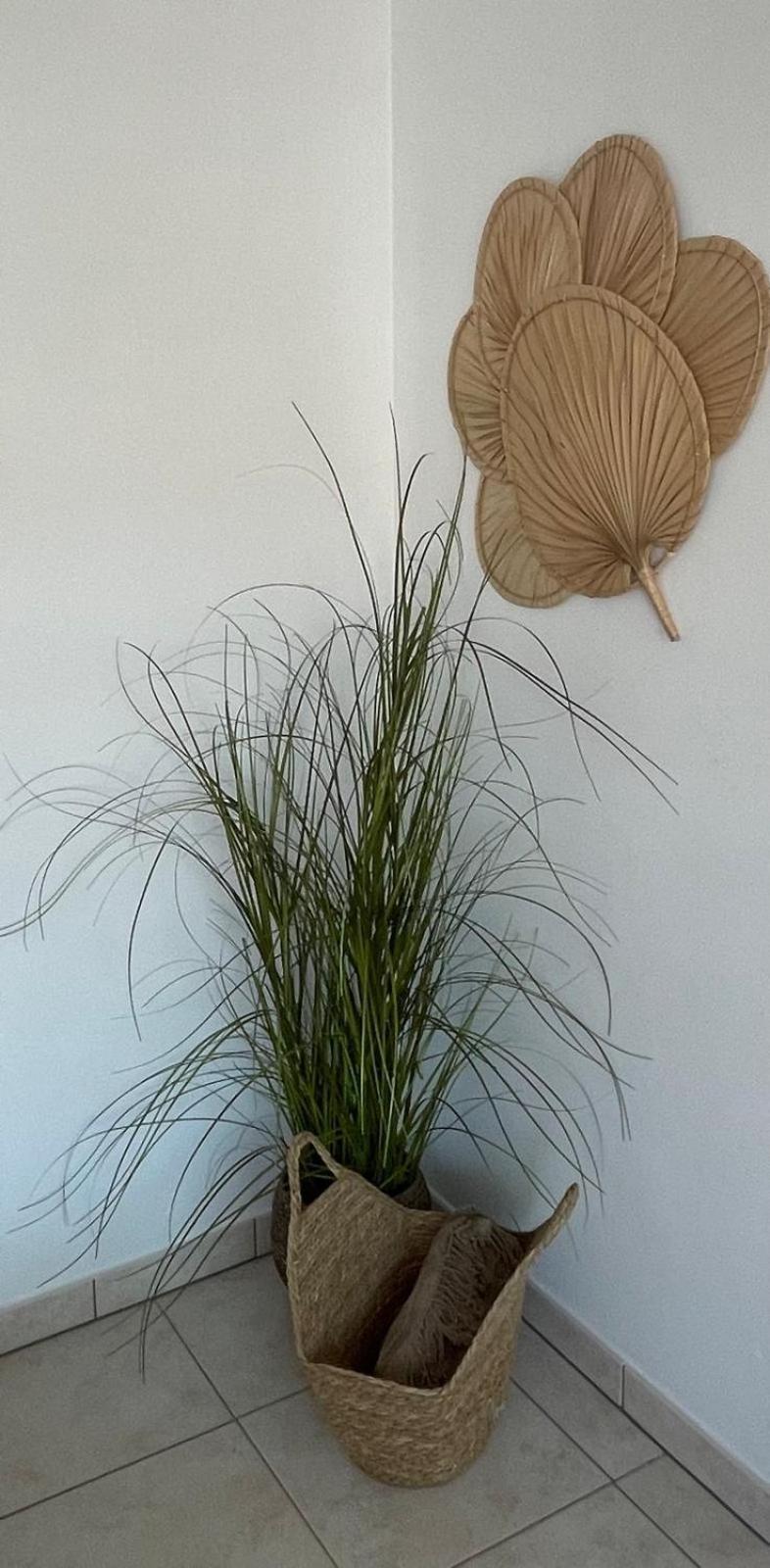 Appartement Axelle 3