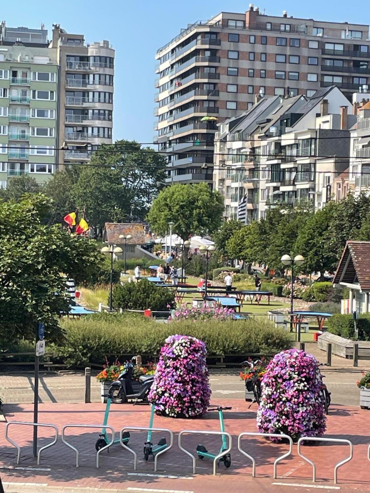 Axelle 3 Blankenberge